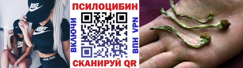 Галлюциногенные грибы Magic Shrooms  Красноуральск 